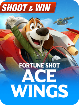 Ace Wings